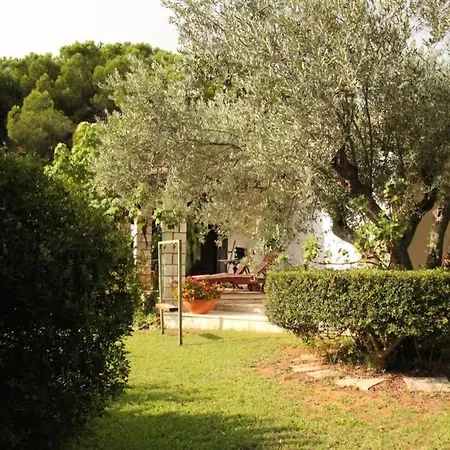 Di Campagna Vicino Al Mare Orosei