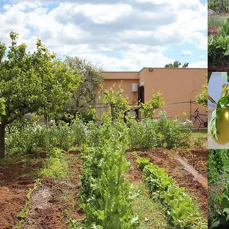 Di Campagna Vicino Al Mare * Orosei