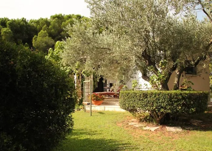 Di Campagna Vicino Al Mare Orosei