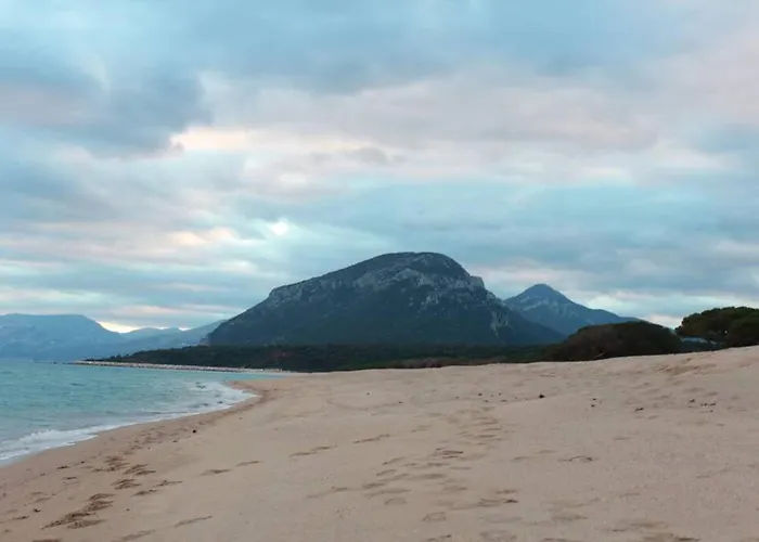 Casa vacanze Di Campagna Vicino Al Mare *