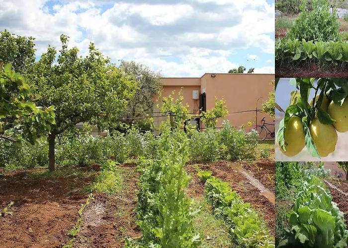 Di Campagna Vicino Al Mare * Orosei