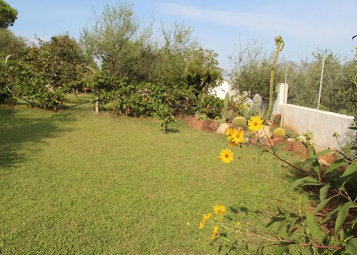 Di Campagna Vicino Al Mare Orosei
